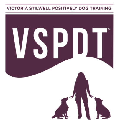 VSPDT_logo_text